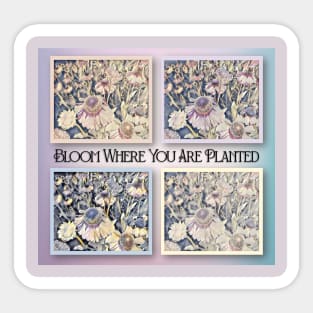 Bloom Where You Are Planted Sticker